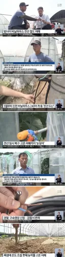 석 달간 진천 농가 떨게 한 전선 절도범잠복수사