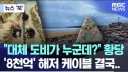 도비 무덤 훼손 막아낸 팬들.jpg