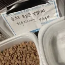 캣맘 커뮤에서 도는 밥그릇 지키는 꿀팁
