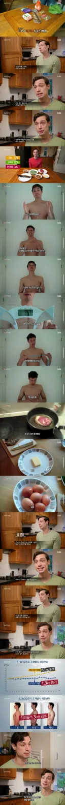 하루에 5000칼로리 먹고 뱃살 빼는 방법