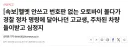 [속보]헬멧 안쓰고 번호판 없는 오토바이 몰다가 경찰 정차 명령에 달아나던 고교생, 주차된 차량 들이받고 심정지