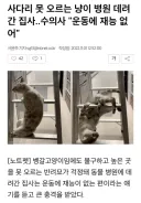 사다리 못오르는 냥이의 진단결과
