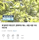 한국 기온 근황