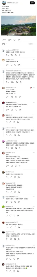 아는 사람만 안다는 너무 슬픈 창경궁 뷰