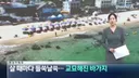 피서지 파라솔 바가지 요금을 취재하러간 채널A