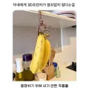 아내에게 3D프린터의 필요성을 증명해야하는 남편