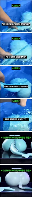 미국 포덕이 만든 장난감