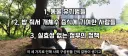 새덕후 고양이 생포하기