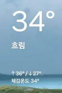 대구인들 정신질환 집단 발병