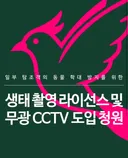 길고양이 괴롭히지 말고 이런걸 청원해야지 🔗링크 있음🔗