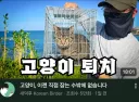 새덕후 최신 영상 근황.jpg