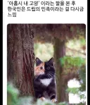 한국인들은 역시 '드립의 민족'이라는 증거