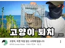 새덕후 길냥이 퇴치 방법 ㄷㄷ