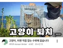 유튜브 새덕후 근황