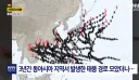 "너희들... 이제껏 열돔씨가 도와준걸 잊어버린거야...?"