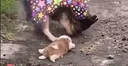 왕왕이와 아기… 이 사진의 비밀