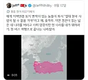 한국인에게 시비거는 터키인들을 본 중국인 반응.jpg