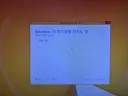 윈10 업뎃하다 조진 유게이 찐 최신 근황