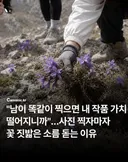 사진작가 동호회 수준