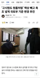 베글 고시원 글은 이런 거 아님?
