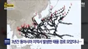3년째 태풍 안온 한반도