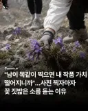 일부 사진 동호회 수준.jpg