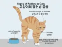주의해야 할 고양이의 광견병 증상.jpg
