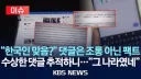 네이버 분탕 추적해보니까...