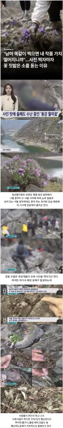 사진 찍자마자 꽃 짖밟은 소름 돋는 이유