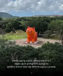 제주도에 나타난 거대 고양이.JPG