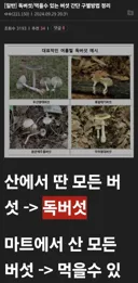 디시에서 알려주는 독버섯 구별법