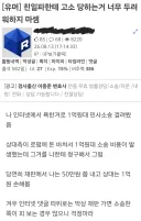 베글에 인터넷 고소 겁내지 말라는 글 유의할 점