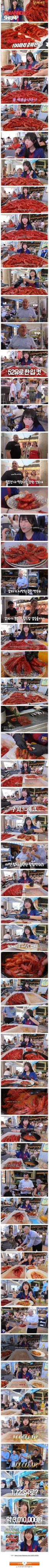 스페인에서 황제새우 100마리 먹방한 쯔양