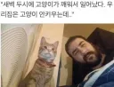 새벽 2시에 고양이가 깨워서 일어났다.