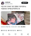 작년 논란으로 불타던, 어떤 유명 일러레의 동인지