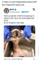 직원이 너무 급하게 불러서 응급 터진줄