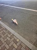 사연 많아 보이는 꽃다발