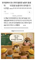 유치원에서 언니 취미 발표한 늦둥이 동생