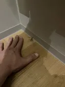 약혐)홋카이도 각다귀