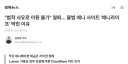 불법애니 사이트 '애니라이프'막혔다
