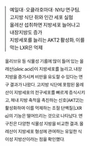 올리브 오일이 비만 유발…'지방세포 과다 생성' 주의해야