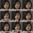 분권형 대통령제 한짤 요약