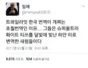 번역가가 사기쳐서 대박난 사례
