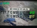 수컷 거북이 탄생 X 진행중