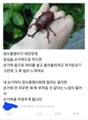 유게에 본인 얘기 하면 안되는 이유...