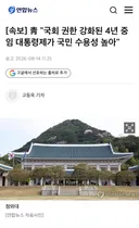[속보] 靑 국회 권한 강화된 4년 중임 대통령제가 국민 수용성 높아