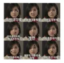 지금 청와대가 말하는건 이원집정부제