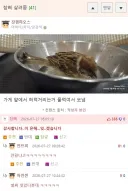 은혜 잊은 참새 근황