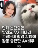 경조사 관련 복지정책 최신 근황