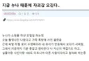 친누나 수영복 사진 보고 자괴감 느낀 개붕이